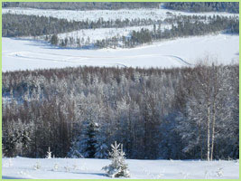 Frozen Lake and Course Viewed from the Resort